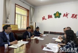 故意驾车伤人涉嫌犯罪，陕西凤翔一社区书记被刑拘并免职