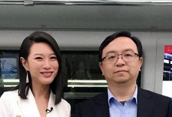 王传福与比亚迪的高端化之路，意识到问题，迈向未来