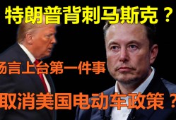 马斯克吐槽称“实在受不了”，为何公开批评特朗普政府税改法案？