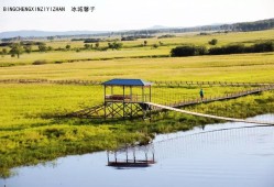 安徽淮南4万余亩湿地遭光伏项目、违法养殖侵占等问题获整治