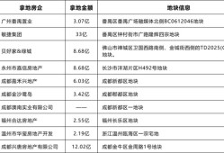 民营房企重返土拍市场，多家“黑马”竞逐热点城市核心地块