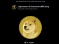 DOGE裁员风波未平 联邦政府面临持久影响