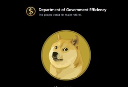 DOGE裁员风波未平 联邦政府面临持久影响