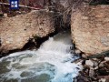 涉违规取水屡查屡犯、违法侵占黄河河道，中央环保督察通报案例