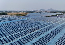 【中国那些事儿】科技赋能可持续发展中国为全球生态治理点燃新引擎