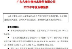 丸美生物：2025年第一季度业绩表现良好，实现营业收入8.47亿元