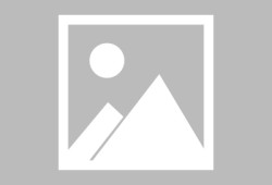 马斯克回应X Money即将发布：已进入小规模测试阶段