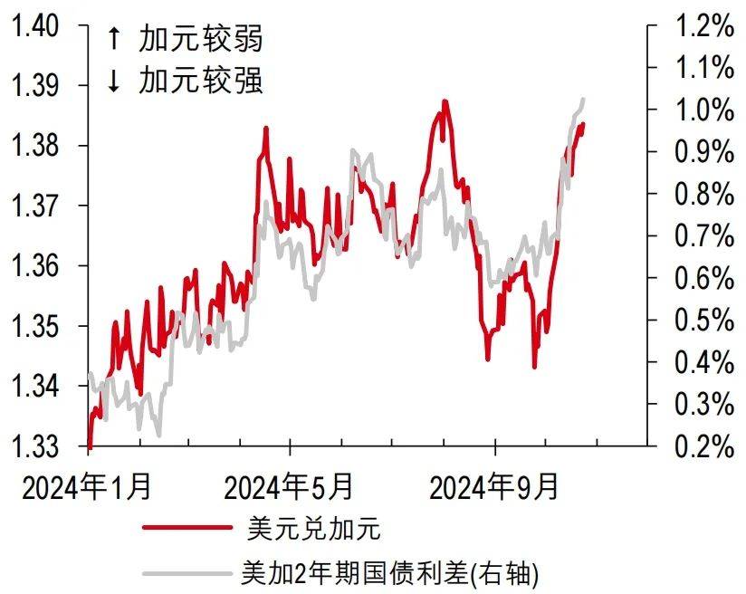 加元在央行维持利率不变后升至盘中高点