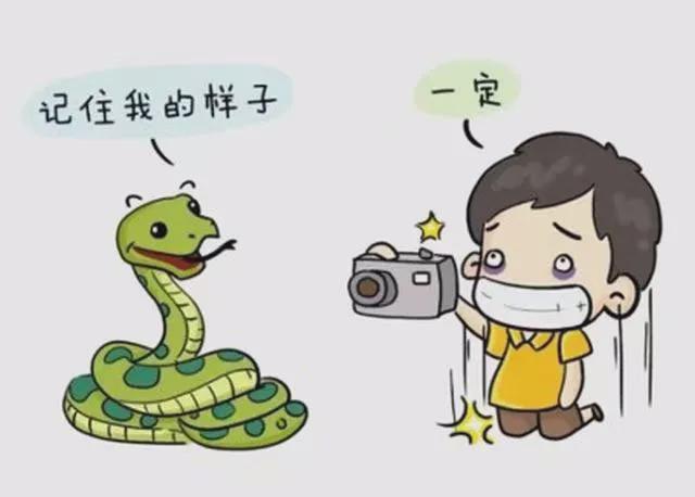 毒蛇咬伤后的自救指南