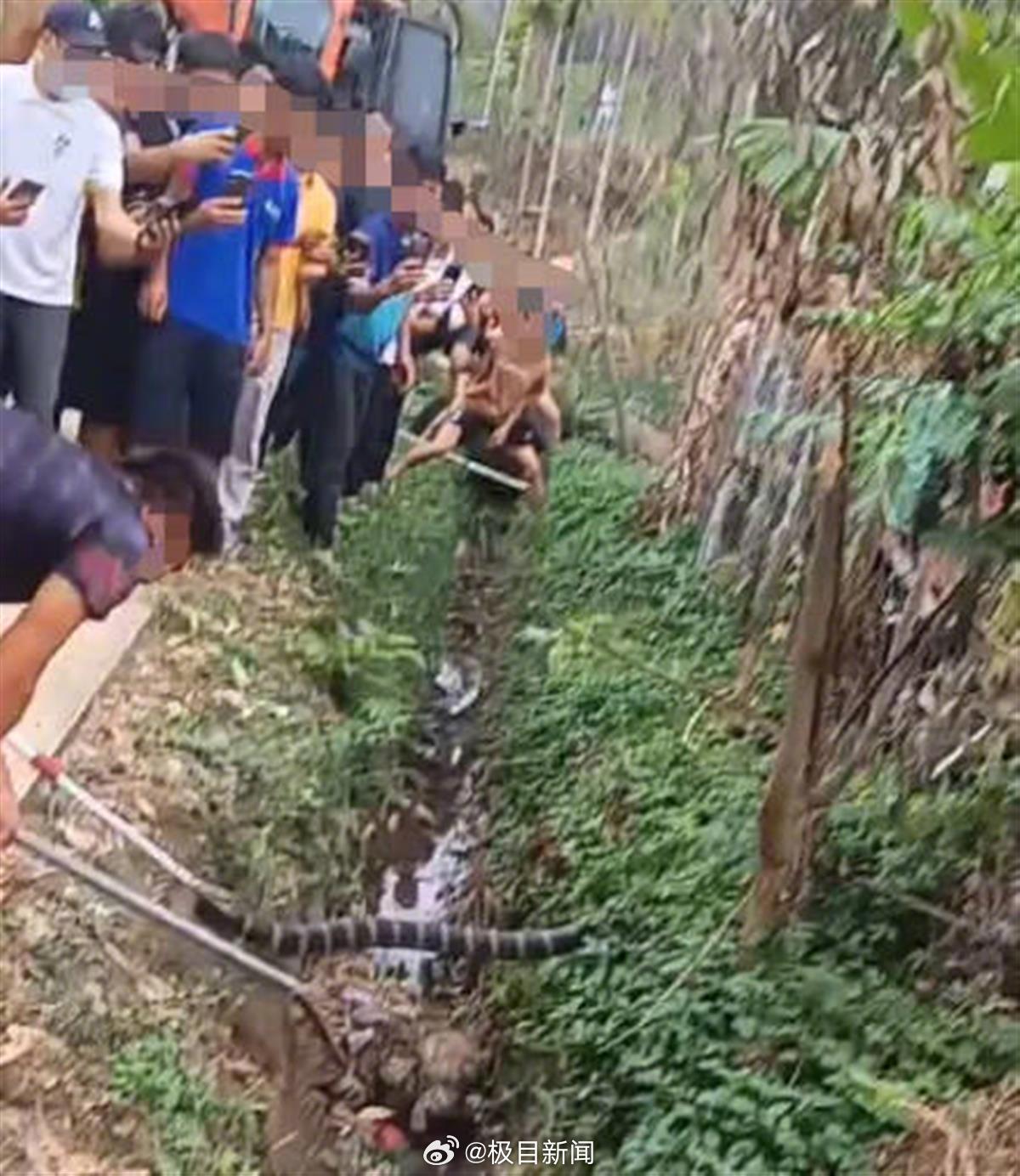 关于武夷山并未发生女游客被蛇咬死事件的澄清