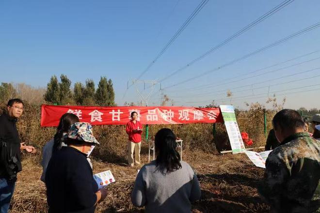 科技小院如何助农惠农？