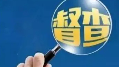 新华每日电讯：“沉浸式”调研越多，“自嗨式”决策越少